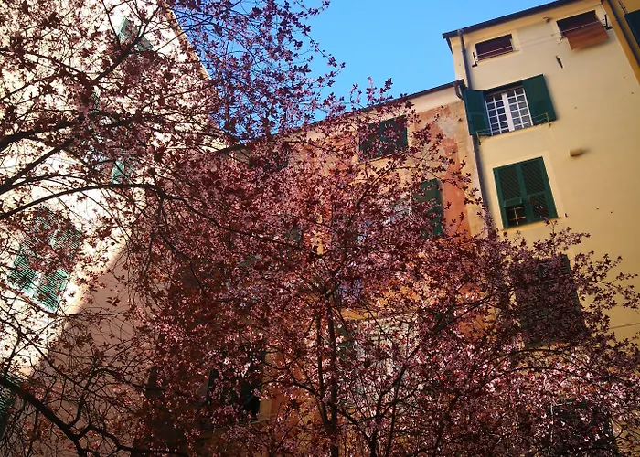 Bed & Breakfast Lavagna Uno