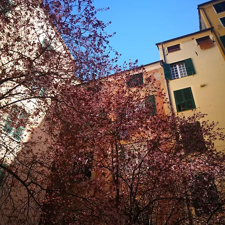 Bed & Breakfast Lavagna Uno