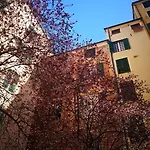 Bed & Breakfast Lavagna Uno